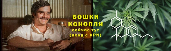 прущие крисы Кодинск