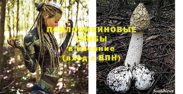 не бодяженный Козельск