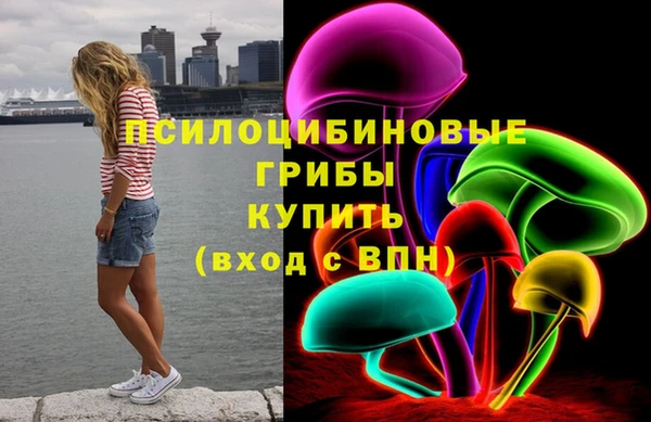 не бодяженный Козельск