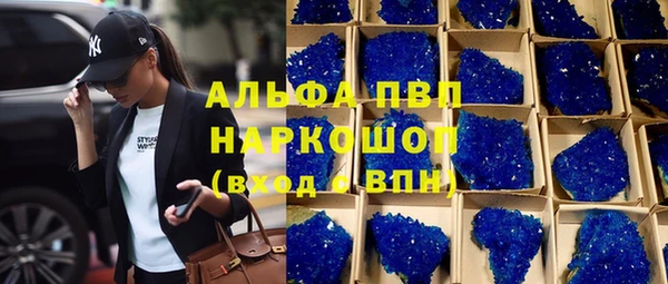 СК Киренск
