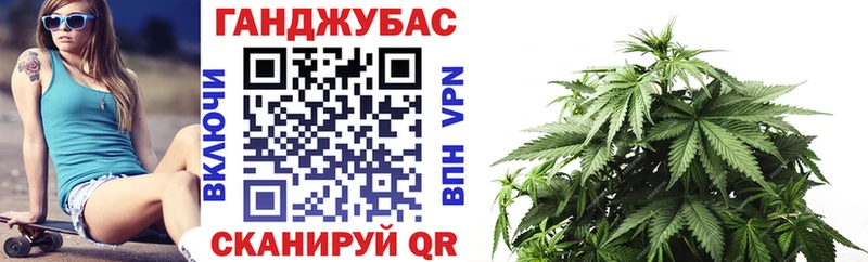 Канабис сатива  Купить где  Рошаль 